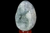 Crystal Filled Celestine (Celestite) Egg Geode - Madagascar #98787-1